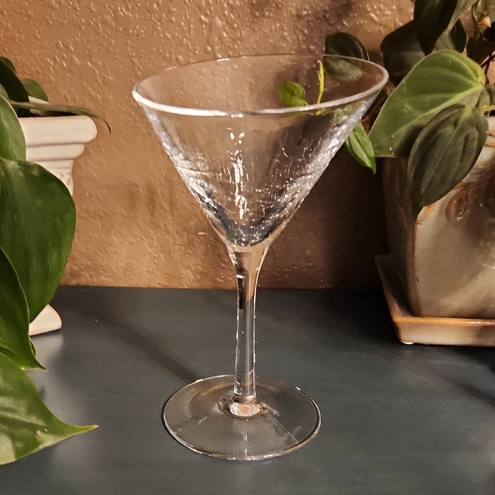 Pier 1 Angled Rim Crackle Martini Coupe Glass